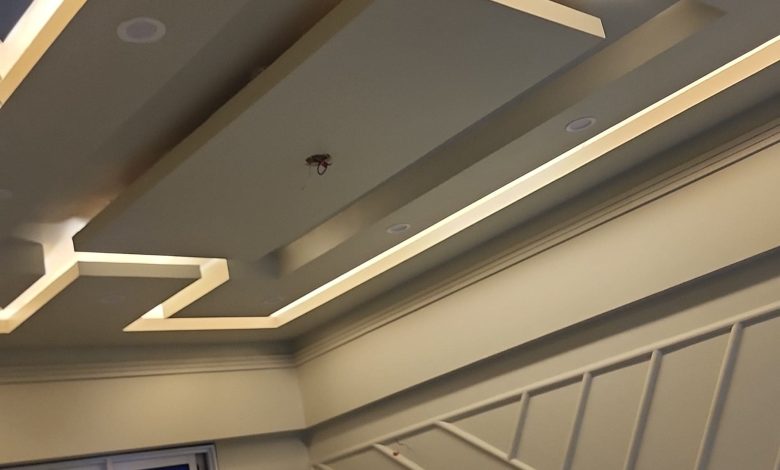 معلم دهانات محترف في التجمع الخامس: خطوات التشطيب خطوة بخطوة